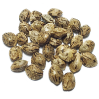 mixed marijuana seeds