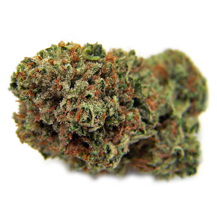 strawberry kush clones